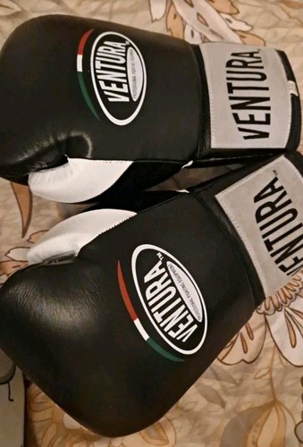 Ventura professional fighting - professional,